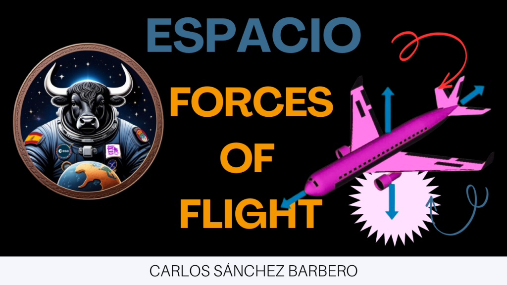 FraySat: Forces of Flight